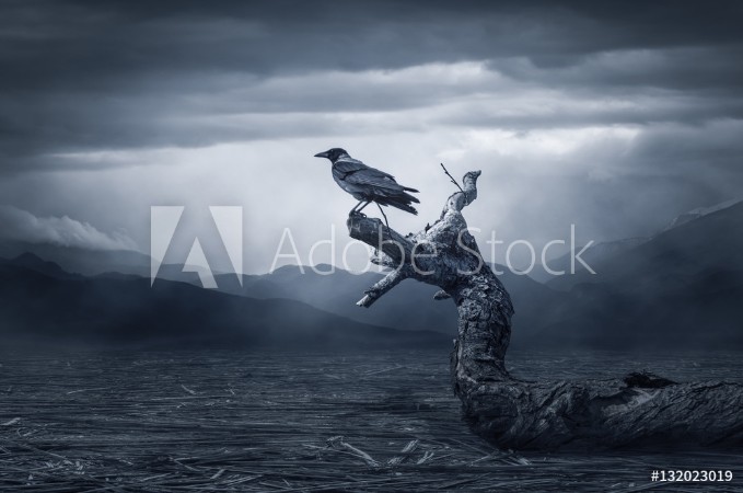 Picture of Crow sitting on a branch